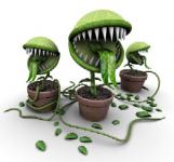 Planta carnivora Cuento sobre la obediencia